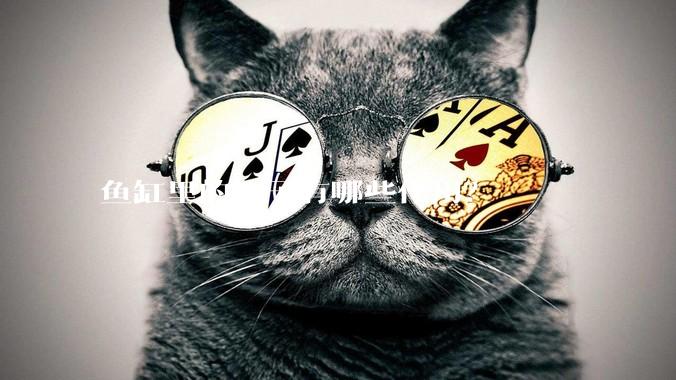 鱼缸里的石子有哪些作用？