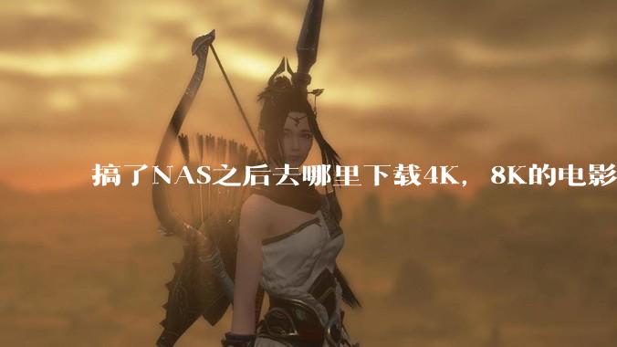 搞了NAS之后去哪里下载4K，8K的电影？