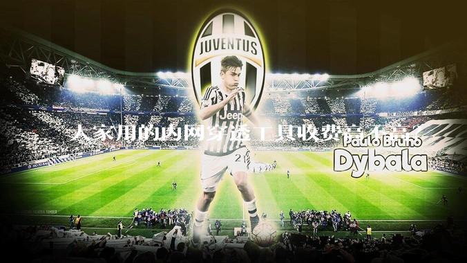 大家用的内网穿透工具收费高不高？