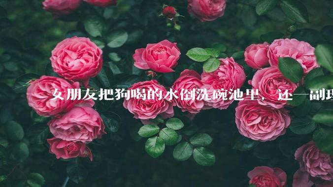 女朋友把狗喝的水倒洗碗池里，还一副理所当然的样子，这对吗？