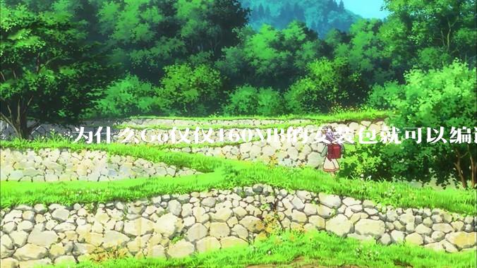 为什么Go仅仅160MB的安装包就可以编译程序，而Rust却还需要几个GB的VC++才能编译？