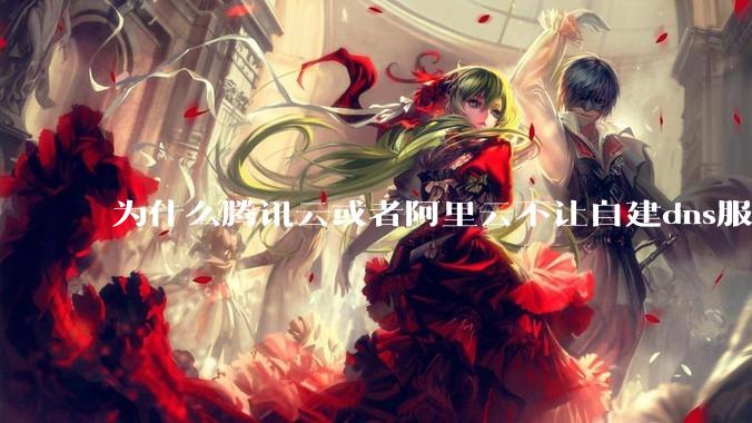 为什么腾讯云或者阿里云不让自建dns服务器?
