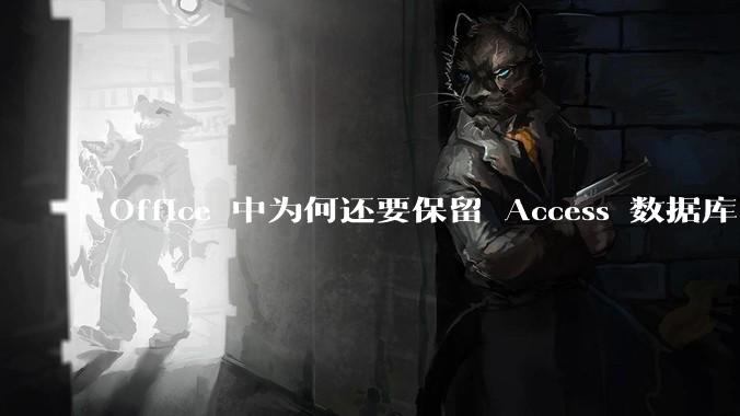 Office 中为何还要保留 Access 数据库?
