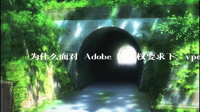 为什么面对 Adobe 的版权要求下，vposy 大神还能从容不迫？