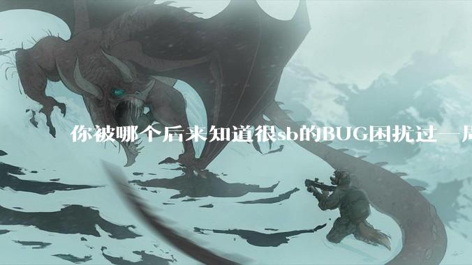 你被哪个后来知道很sb的BUG困扰过一周以上吗？