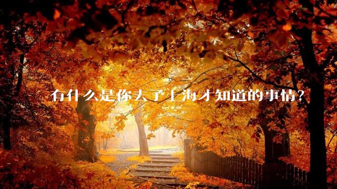 有什么是你去了上海才知道的事情？