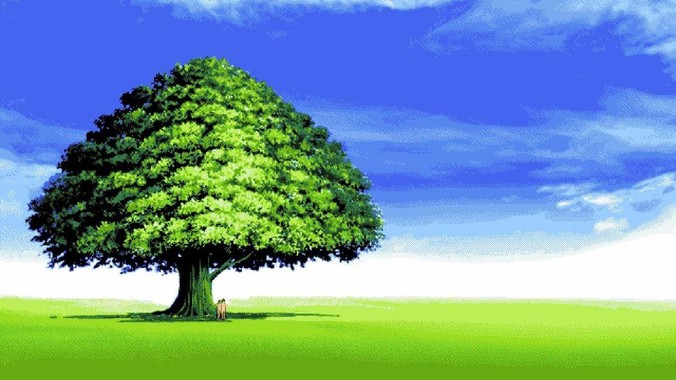 现在是2025年6月，现在的房价是阴跌还是暴跌？还会继续跌多久？是否已经开始分化?